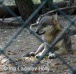 ZOO Praha