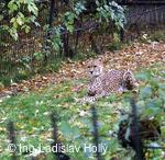 ZOO Praha